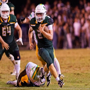 Cohen Felber mugshot