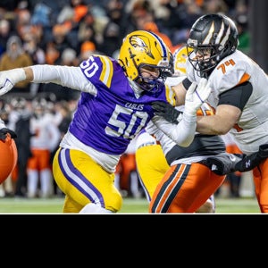 Nolan Robke