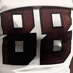 Tai Williams