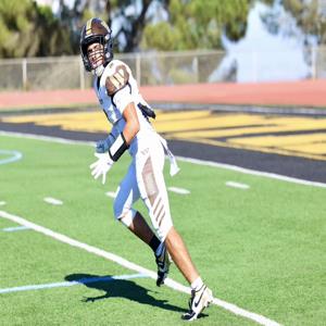 Isaiah Narez mugshot