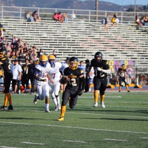 Daunte Painter mugshot