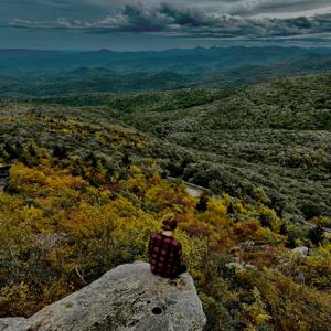 Drew Williams mugshot