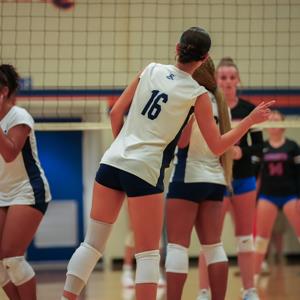 Morgan Veilleux mugshot