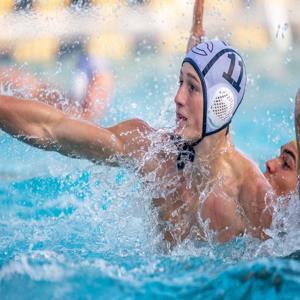 Daniel Morgado mugshot