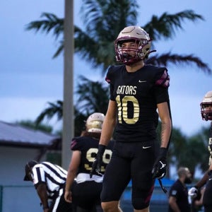 Franki Sosa Jr. mugshot