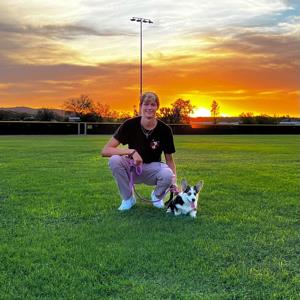 Will  Perkins mugshot