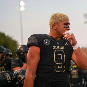 Max Avshalomov mugshot