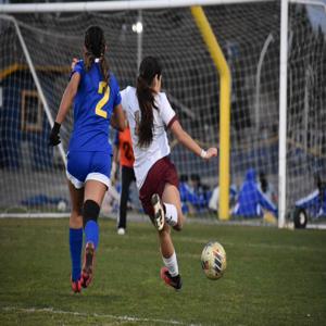 Mariana Flores- Lomeli