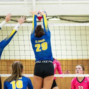 Brigid Sauer mugshot