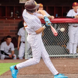 Adrian Botos mugshot