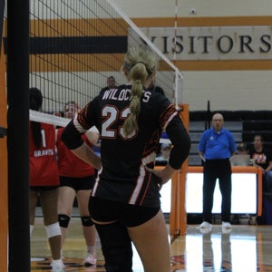 Katelyn Cook mugshot