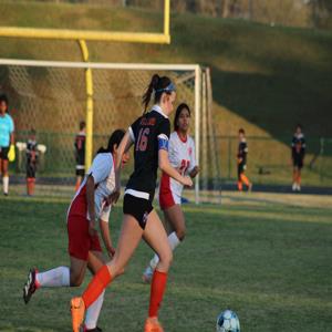 Molly Williams mugshot