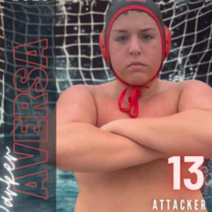 PARKER AVERSA