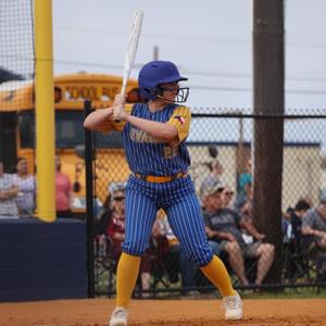 Taryn Torres mugshot