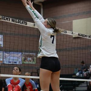 Ava Gallegos mugshot