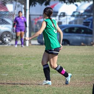 Sofia Hamasaki mugshot