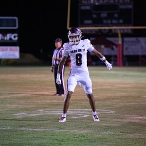 Sanjiya Hickman mugshot