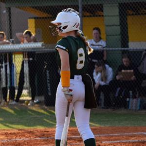 Alyssa Whitcomb mugshot