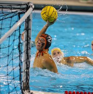 Ashton Chang mugshot