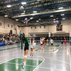 Gaby Velazquez mugshot