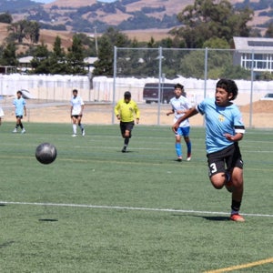 Alex Hernandez