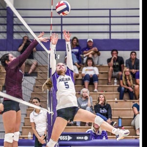 Ellie Mascotti mugshot