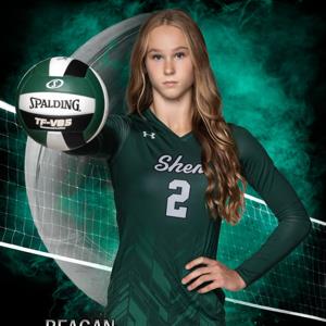 Reagan Ennist mugshot