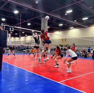 Taryn Vesely