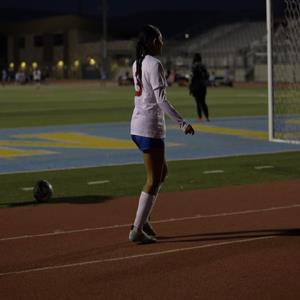 Melannie Torres mugshot