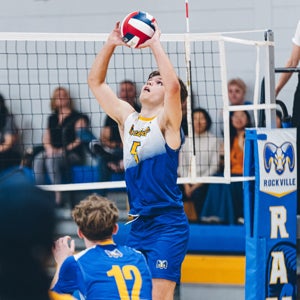 Tibor Elcsics mugshot