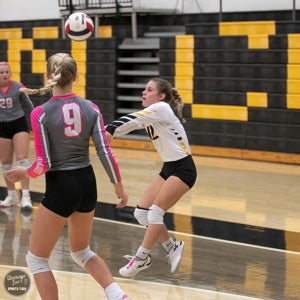 Kaelyn Hollis mugshot