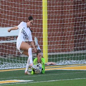 Lizzie Brantley mugshot