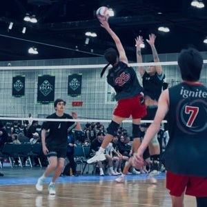 Brendan Shepherd mugshot