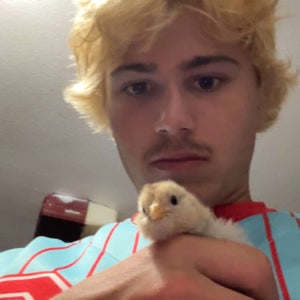 Brody Harris mugshot