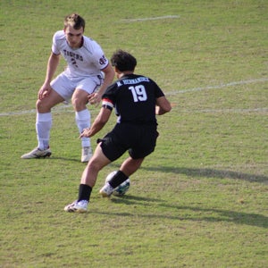 NELSON HERNANDEZ
