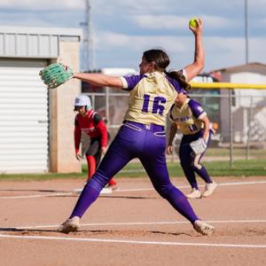 J’Lynn Mintz mugshot