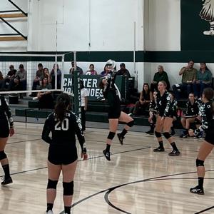 Sarah Branch mugshot