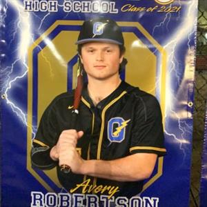 Avery Robertson mugshot