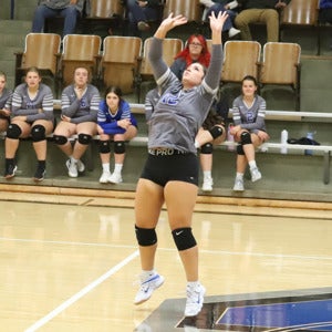 Ava Newell