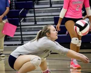 Lorelei Tomlinson mugshot