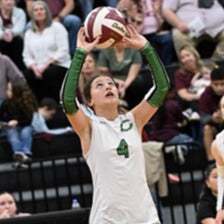 Stella Maldonado mugshot