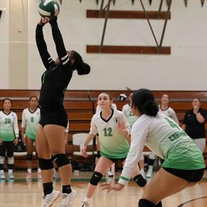 Sahara Tupua mugshot