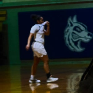 Perla  Garcia  mugshot