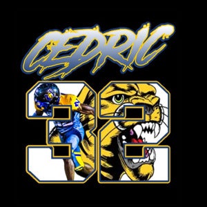 Cedric Burkes mugshot