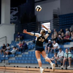 Elayna Rickmon mugshot