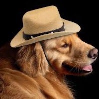 Arianna Hernandez mugshot