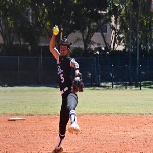 Yanaira Andrade mugshot