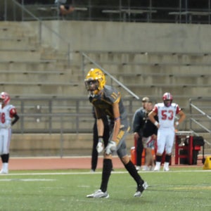 L. Prestifilippo