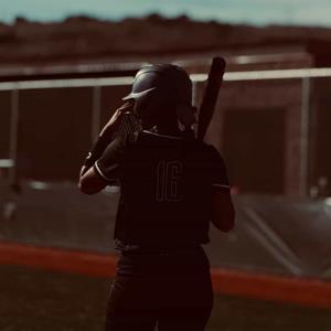 Iris Day Chief mugshot