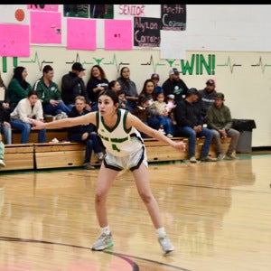 Alyzon Corrales mugshot